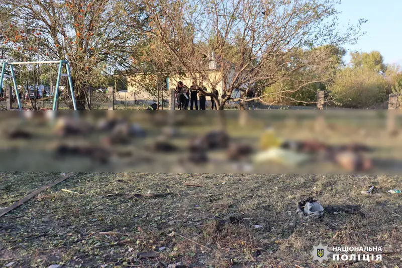 A grassy yard with a swing frame and trees, with a band across the middle where a row of bodies lying on the ground has been blurred out, and police officers standing in the background